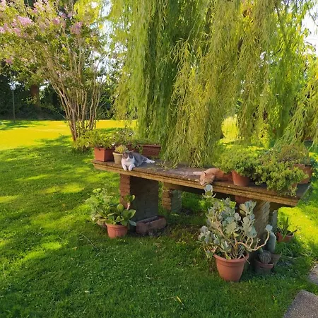 Favilli Villa Pisa