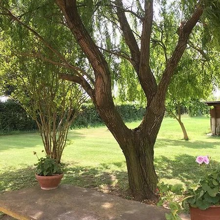 Villa Favilli *